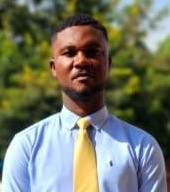 System Developer